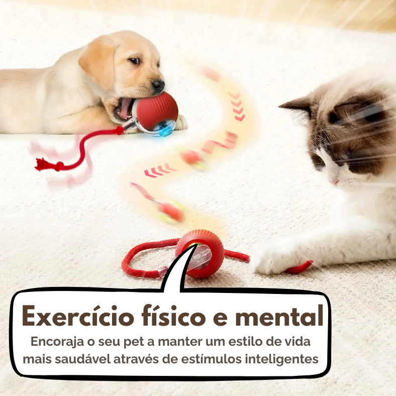 CorrePet - Bolinha Interativa para divertir seu pet