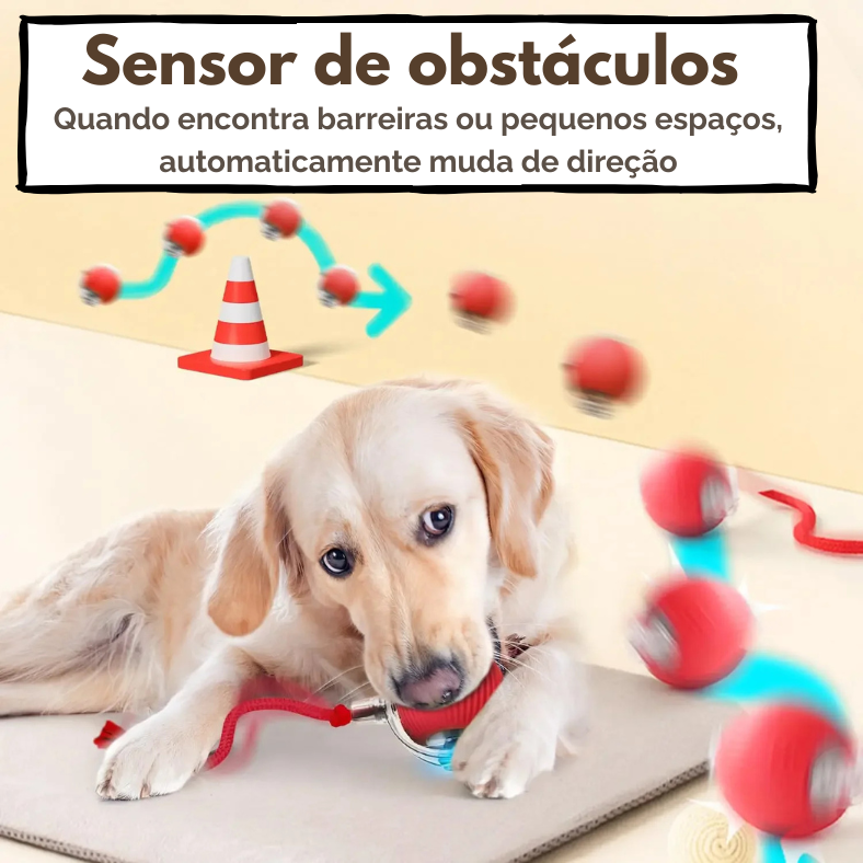 CorrePet - Bolinha Interativa para divertir seu pet