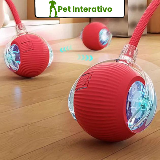 CorrePet - Bolinha Interativa para divertir seu pet