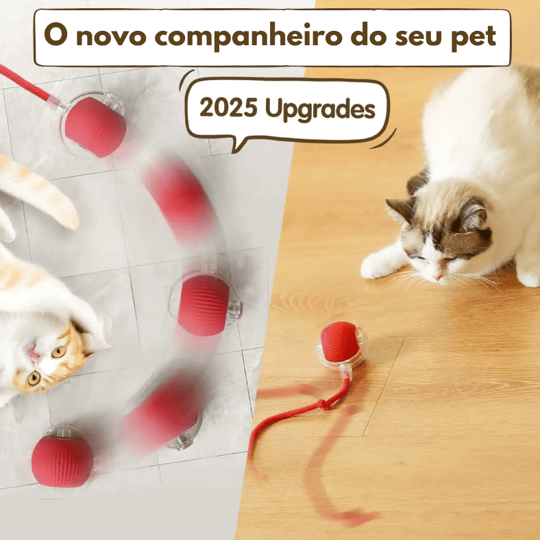 CorrePet - Bolinha Interativa para divertir seu pet